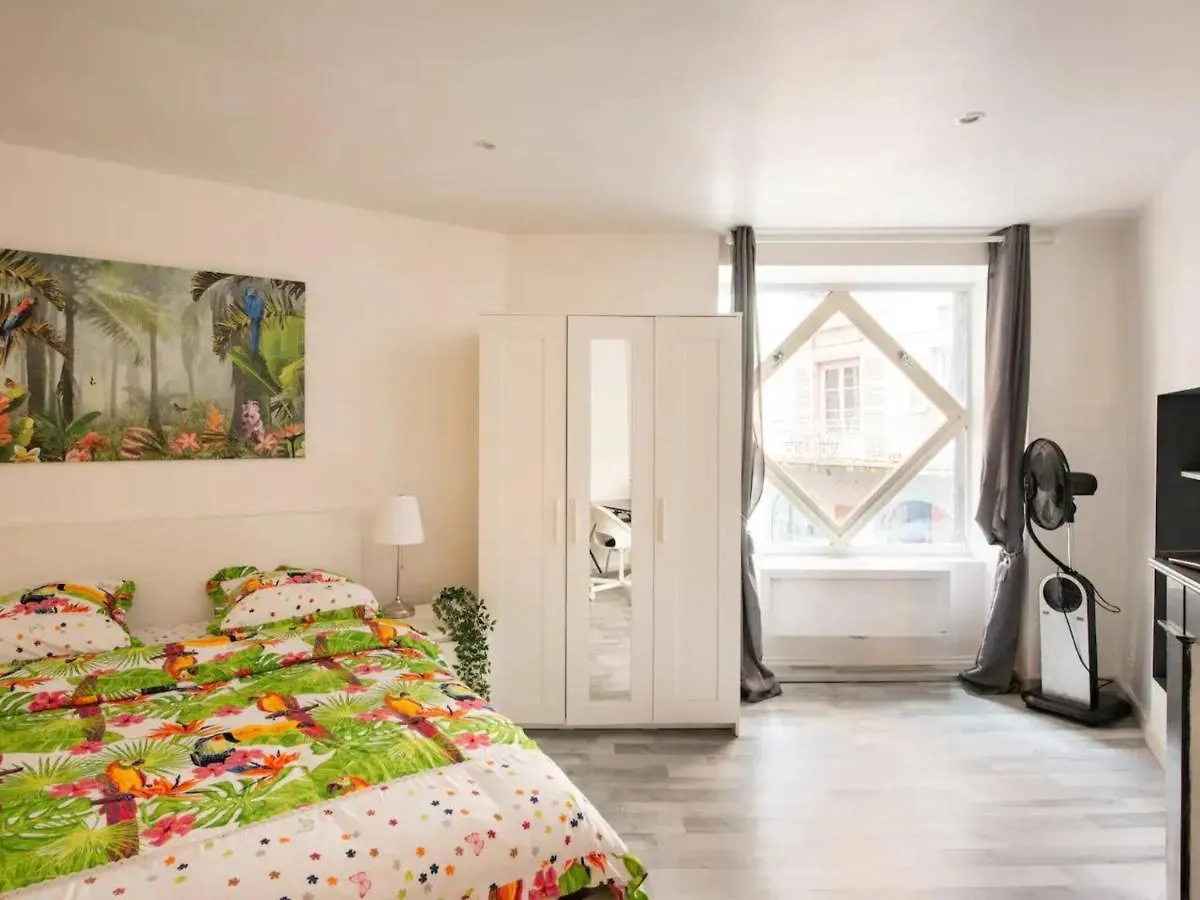 Plein Centre Ville ,Parking , Tout Equipe ,Confort Clermont-Ferrand Apartment